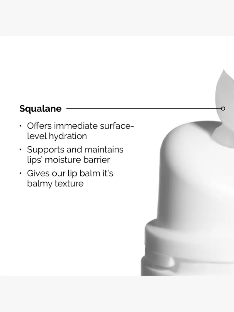 The Ordinary Squalane + Amino Acids lip balm 15ml - Image 6